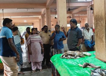 மாநகராட்சி மேயர் ஆய்வு