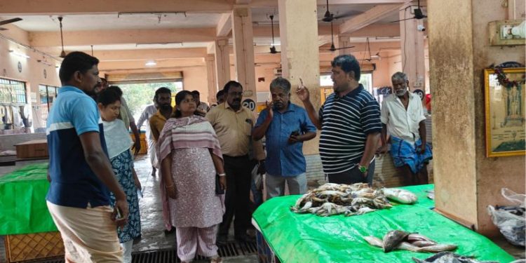 மாநகராட்சி மேயர் ஆய்வு