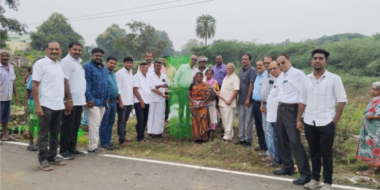 ஸ்டார் ரோட்டரி சங்கம் சார்பில் மரம் நாடு விழா