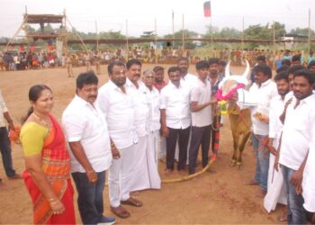 அலங்காநல்லூர் அருகேமஞ்சு விரட்டு விழா