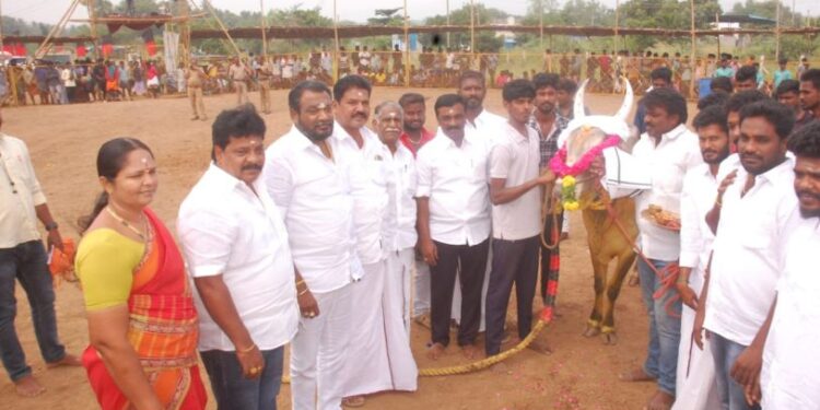 அலங்காநல்லூர் அருகேமஞ்சு விரட்டு விழா